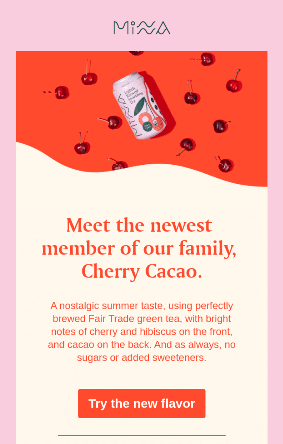 exemplo de e-mail de lançamento de produto do minna