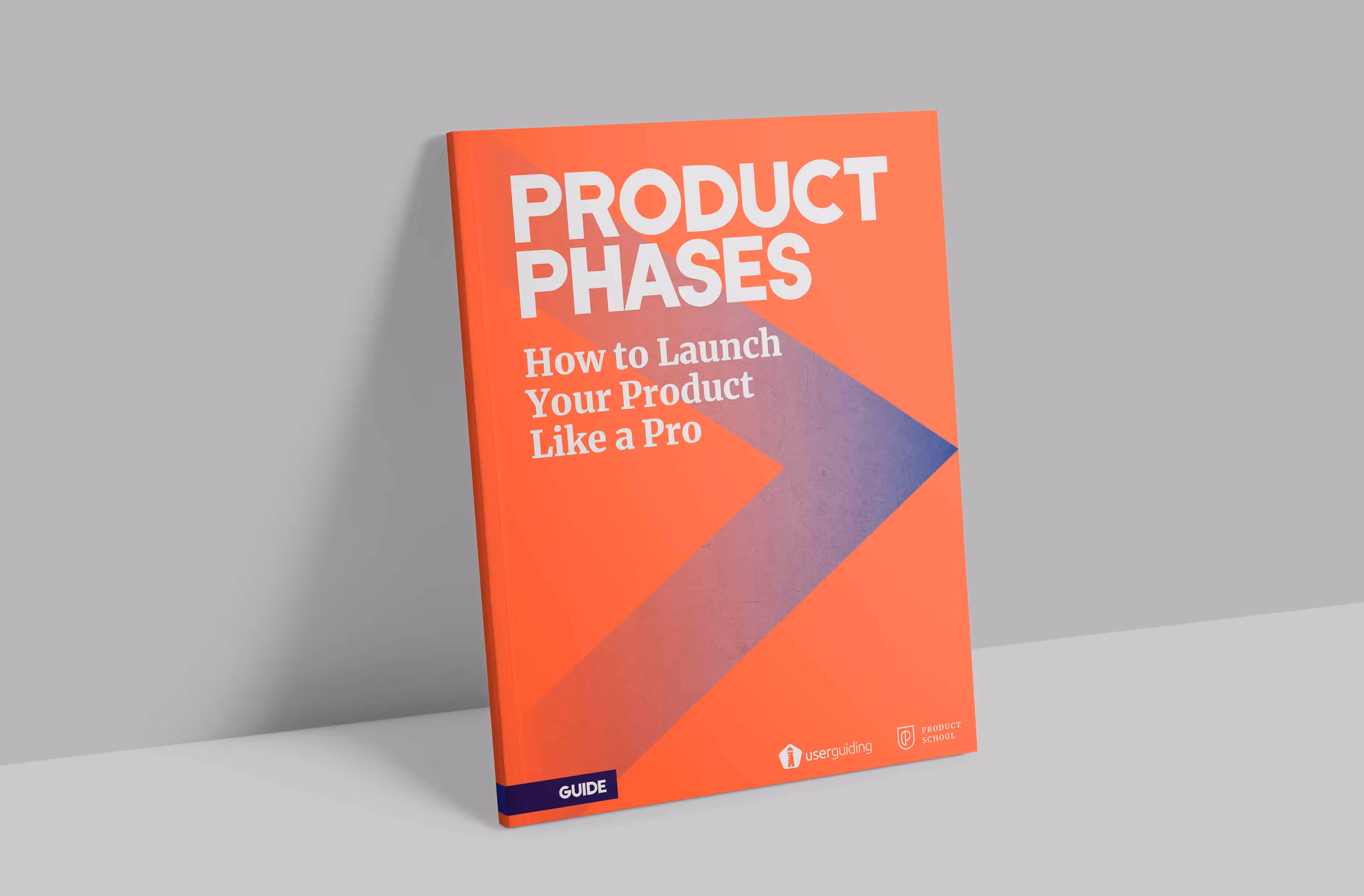 Launch your Product like a PRO! (E-book)