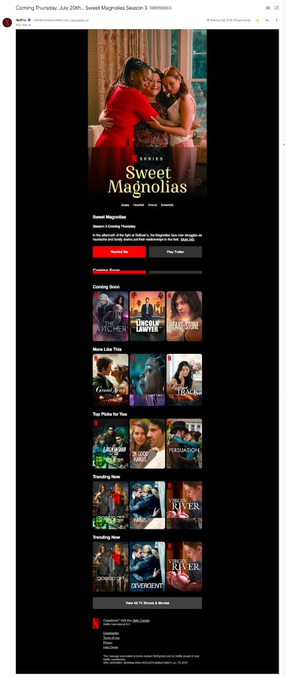 product announcement email examples netflix