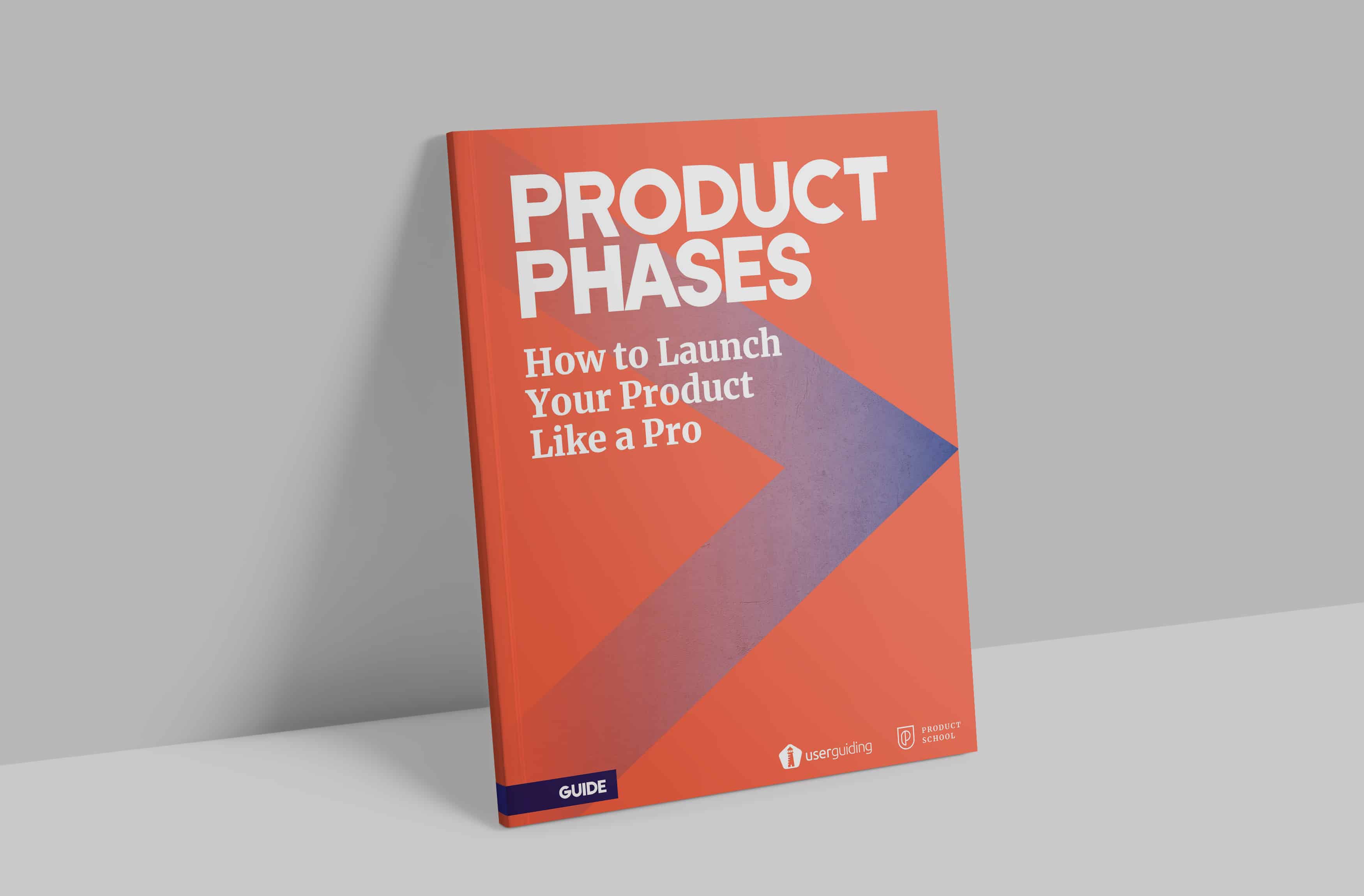 product phases guide