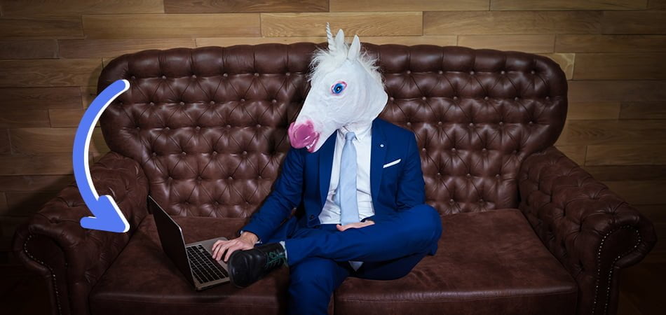 unicorn business